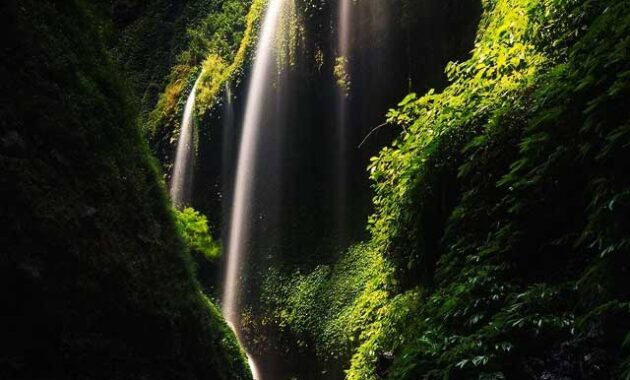 Madakaripura-waterfall-Bromo-Photo-630x380 Bromo Ijen Blue Fire Tour From Surabaya