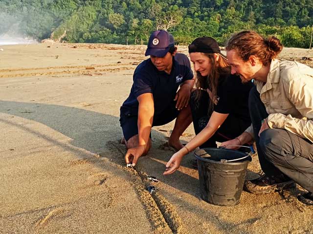 sukamade-beach-turtle-conservation East Java Adventure Trip