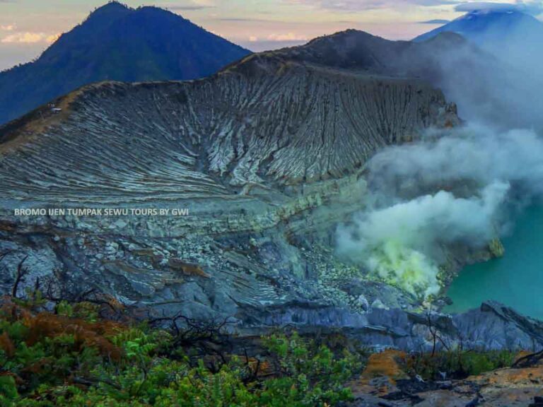 Bromo Ijen Private Tour East Java Guide