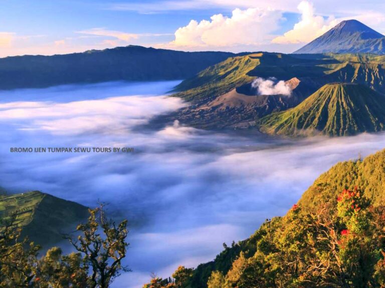 Bromo Ijen Tour 4 Days 3 Nights: Full sunrise and blue fire experience with extra stops.